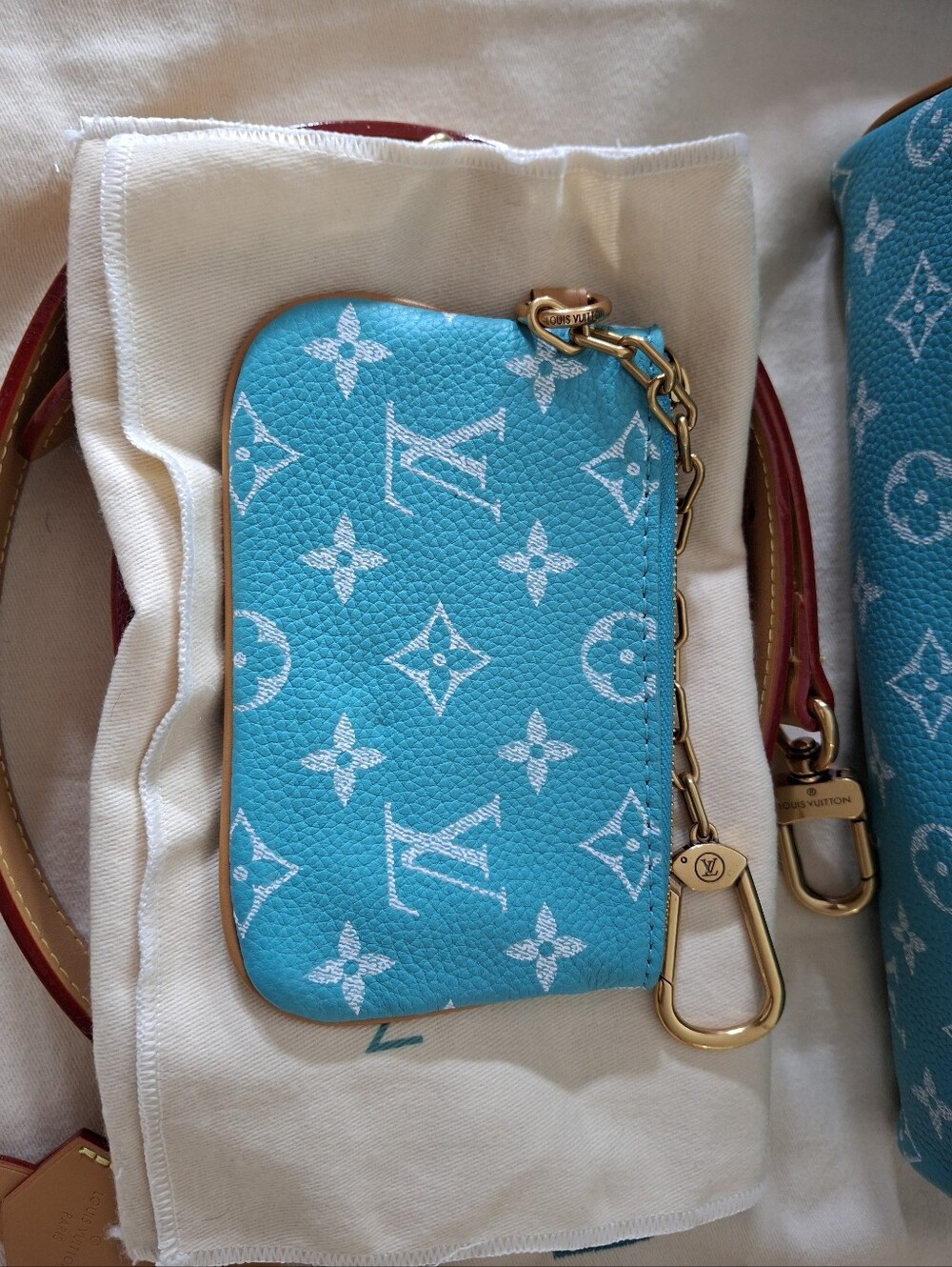 Turquoise Monogram Speedy 25 Luxury Handbag - Picture 8 of 15